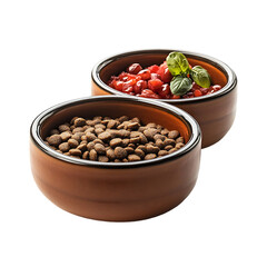 Isolated on white background, twin ceramic pet bowls--one with kibble, the other with raw diet meal--side-by-side comparison shot for premium branding Luxury Raw Pet Cuisine Pet Fine Dining Experience