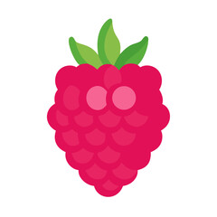 Vibrant raspberry illustration in flat style against black backdrop