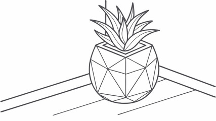 sketch of pineapple