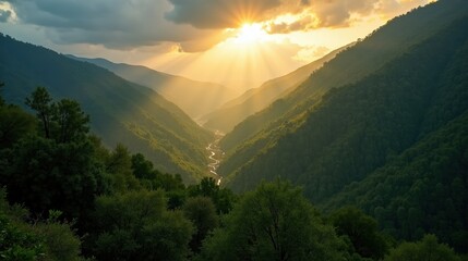 Professional image of Inagua Forest in Spain at dawn, with cloudy skies, shot from a view above perspective.