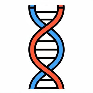 Exploring the Structure and Function of DNA in Scientific Studies