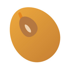 Obraz premium Stylized loquat fruit illustration against a black background