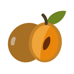 Loquat fruit still life with one cut in half