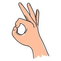 Hand gesture okay vector isolated. Hand-drawn illustration of a human palm of hand showing ok sign. Concept of positive expression, success. Yes gesture.