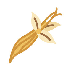 Stylized Vanilla Bean Flower Illustration on Black Background