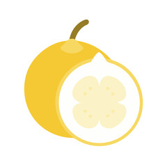 Minimalist yellow granadilla fruit illustration against black background