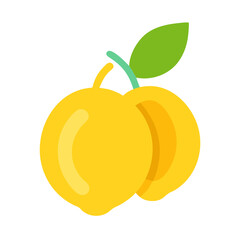 Two ripe apricots connected with a stem and leaf