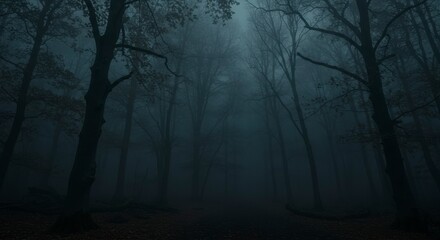 Foggy, dark forest at night