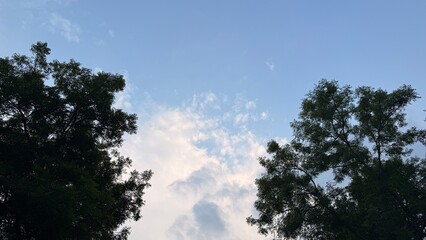 Trees frame a soft, cloudy sky.