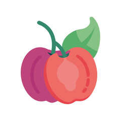 Flat vector illustration of fresh plums on black background
