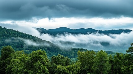 Misty mountain range shrouded in cloud cover, dense forest in foreground