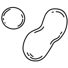 Black and white line art illustration of a whole peanut in shell and a single round nut. Simple hand-drawn style, isolated on white background. Ideal for food icons, healthy snack designs.