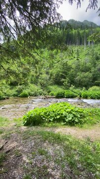 Piękne widoki nad polskimi g&oacute;rami