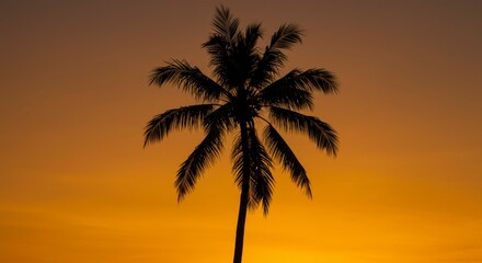 Silhouette of a palm tree against a vibrant sunset. The sky blazes orange and yellow. A single tree stands tall
