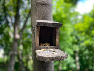 Birdhouse in a park in Kyiv, Ukraine