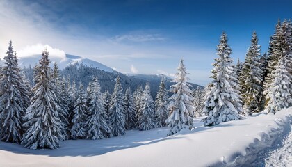winter wonderland with snowy fir trees in the mountains