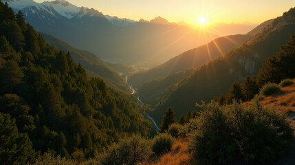 Aerial view of Bertiz Forest, Spain, during sunrise, with sunlight filtering through trees, creating a serene scene.