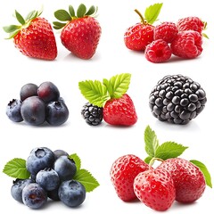 collection of berries