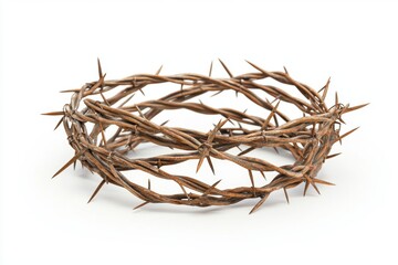 Fototapeta premium A crown of thorns isolated on white background