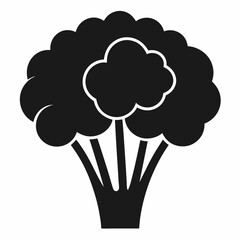 Broccoflower icon on white background