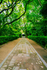 Fukuoka, Hakozakigu Shrine
