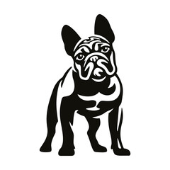 French Bulldog silhouette icon. Standing dog black logo illustration