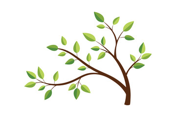 Fototapeta premium Tree branch with small leaves vector illustration on white background