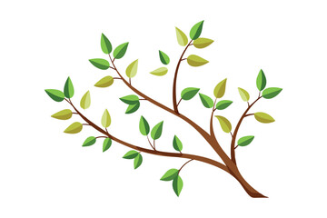 Obraz premium Tree branch with small leaves vector illustration on white background