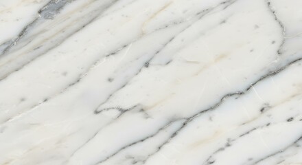 Obraz premium White Marble Texture Background for Elegant Design Projects