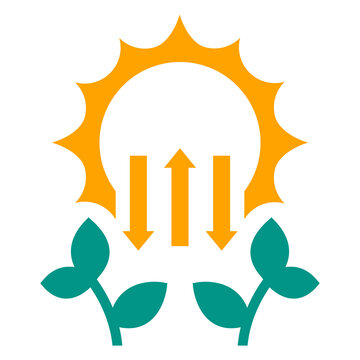 photosynthesis icon with sun and plant