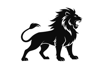 Hungry roar lion silhouette on white background