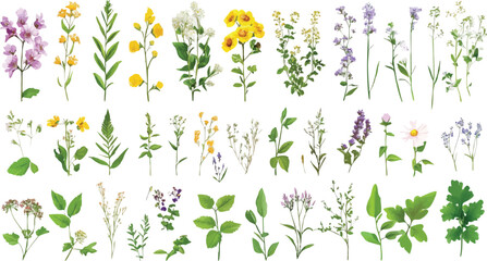 Green watercolor leaves isolated on white background set. Collection of floral leaves and flowers. Watercolor style for printing and fabric decoration.