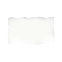 Obraz premium Blank white torn paper texture