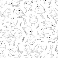 Robin birds line art seamless pattern, outline clip arts of European birds background, coloring book birds pattern
