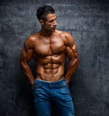 Handsome Shirtless Muscular Man in Jeans