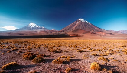 atacama desert lascar volcano and arid landscape in northern chile