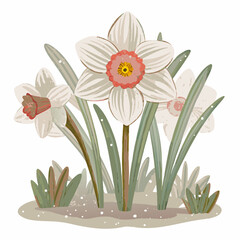 Charming Illustration of Delicate White Daffodils in Bloom with Soft Green Leaves and Subtle Textures Representing the Tranquility and Renewal of Springtime Nature