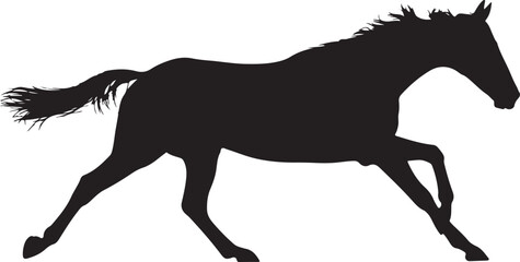 Silhouette of a Running Young Horse Galloping