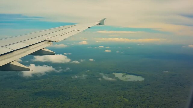 Aerial view of jungle canopy from airplane wing.