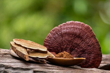 Lingzhi or Reishi mushroom,slices and powder on natural background.