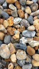 Colorful Assortment of Smooth River Stones Collected Along a River Shore on a Sunny Day in Nature