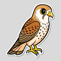 bird of prey