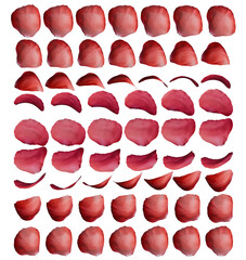 Red Rose Petal 3d Rotation Sequence with Transparency