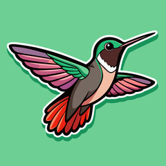 hummingbird and flower