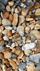 Colorful Assortment of Pebbles on a Beach at Low Tide, Showcasing Natural Textures and Patterns in Sunlight