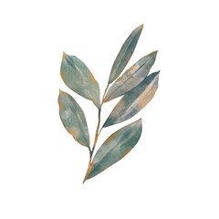 Bay leaf branch with mystical herbs, blending spiritual symbolism and culinary tradition. Watercolor illustration isolated on white, ideal for rituals, herbal recipes, kitchen decor, and design