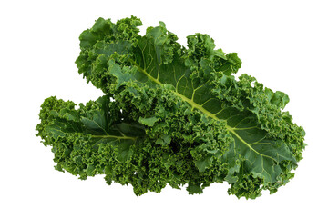 A close up shot of two vibrant green kale leaves with textured edges on a dark background studio shot on transparent background