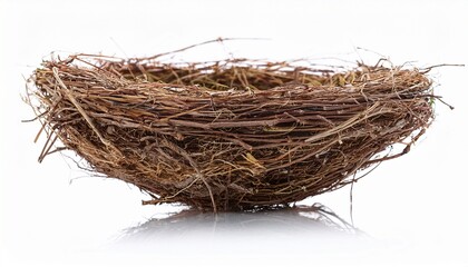 empty bird nest isolated cutout