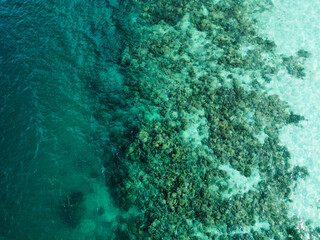 Stunning aerial view of a coral reef bordering crystal-clear turquoise water in a tropical paradise