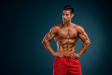 Handsome Muscular Shirtless Man Posing